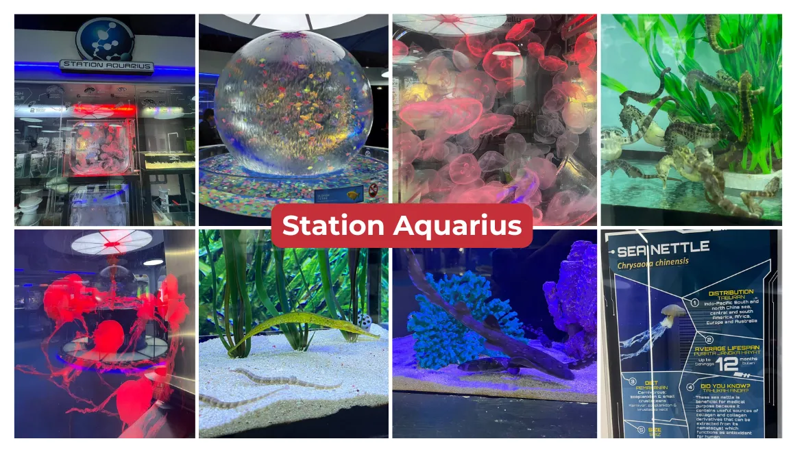Aquaria KLCC Station Aquarius